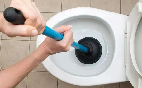 Blocked Drains Attract Pests Home?